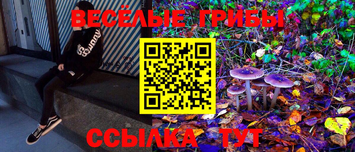 Галлюциногенные грибы GOLDEN TEACHER Уварово